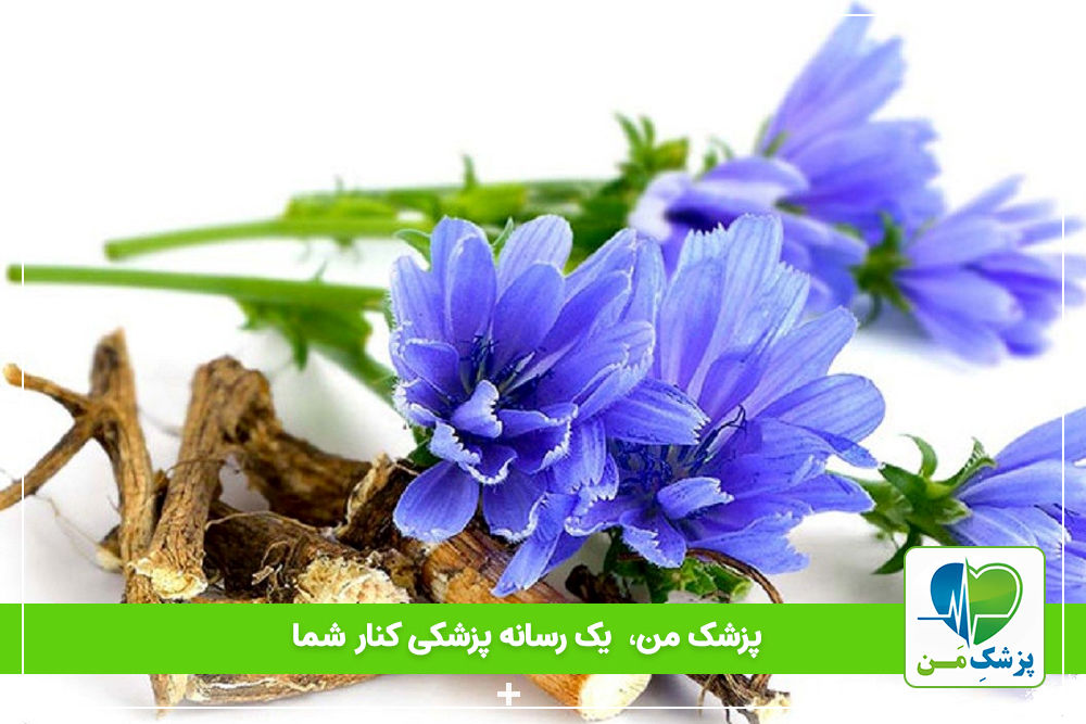 فواید بی‌نظیر عرق کاسنی برای کبد چرب