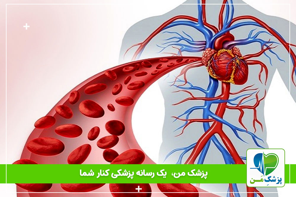 دستگاه گردش خون چیست و چگونه عمل می کند؟