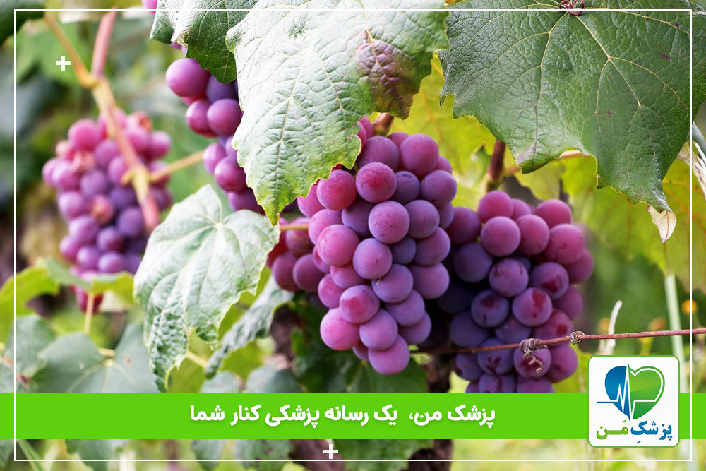 انگور چه فوایدی داره؟ آیا انگور برای دیابتی ها خوبه؟
