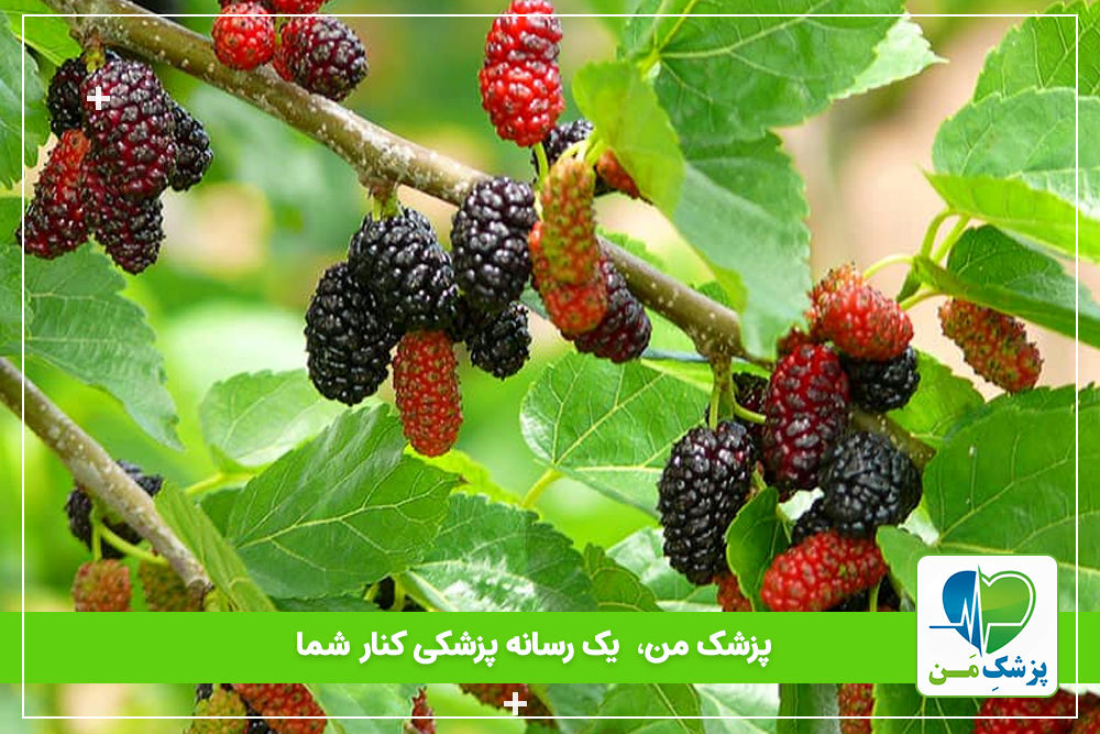 دیابتی ها از توت و توت خشک چقدر استفاده کنن؟!