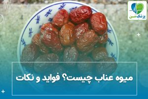 میوه عناب چیست؟ فواید و نکات