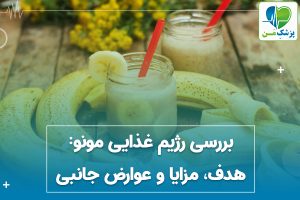 رژیم غذایی مونو